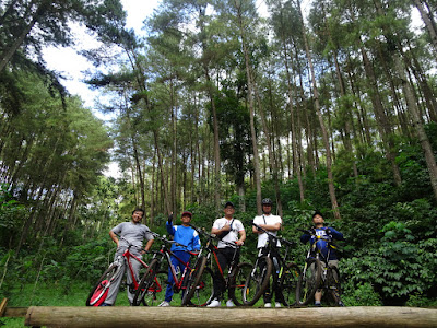 Segrowong