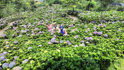 Wisata Dusun Kuliner