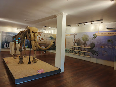 Museum Negeri Kupang
