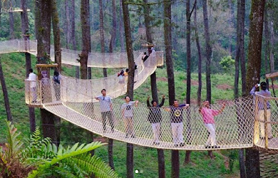 Orchid Forest Cikole