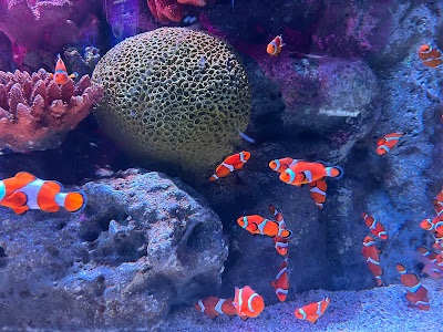 SEA LIFE Bangkok Ocean World
