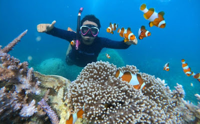 Raja Ampat Snorkeling