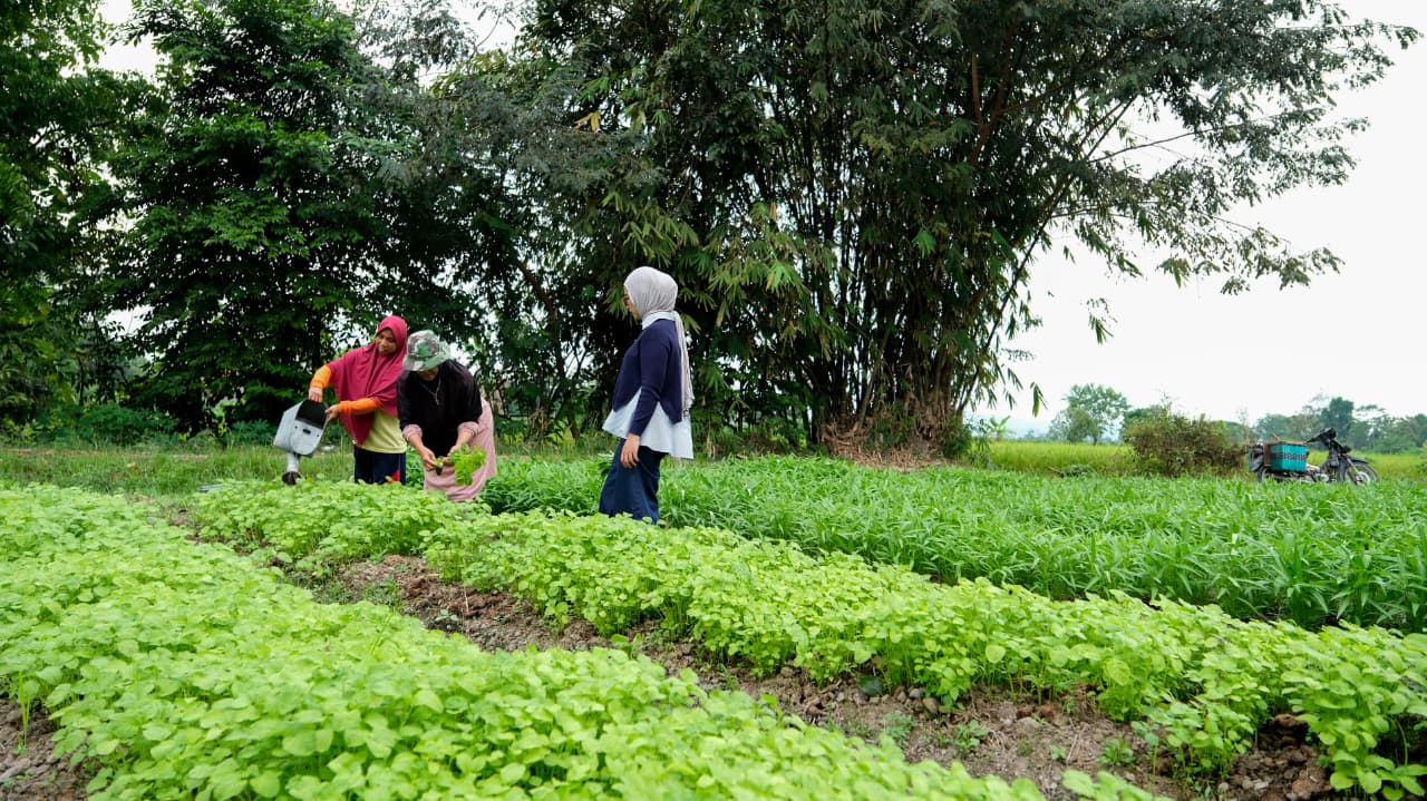 Desa Wisata Tamanmartani
