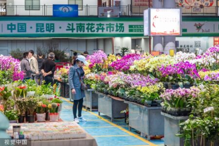 Dounan Flower Market