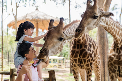 Vinpearl Safari Phú Quốc