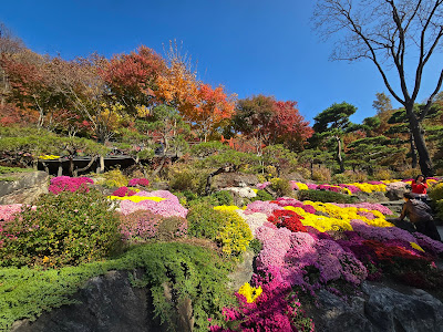 Hwadam Botanical Garden 