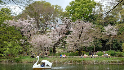 Inokashira Park