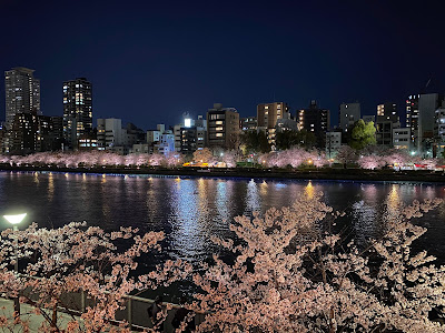 Kema Sakuranomiya Park
