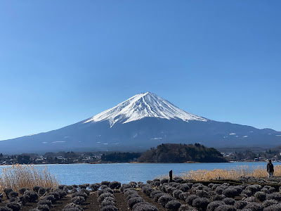 Lake Kawaguchi