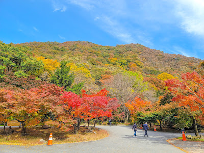 Naejangsan National Park