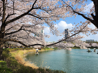 Seokchon Lake 