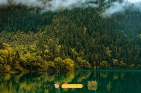 Tempat Wisata di Chengdu China Paling ikonik Rekomendasi Wisata yang Bisa Jadi Pilihan