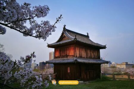 Tempat Wisata di Jepang Saat Musim Sakura