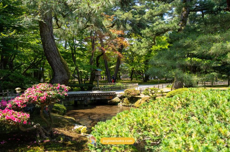 Tempat Wisata di Jepang Saat Musim Semi