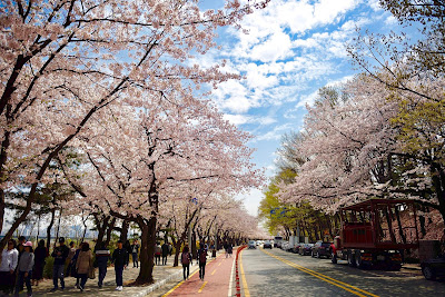 Yeouido Hangang Park