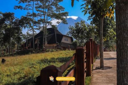 Liburan Keluarga di The Lost World Farm, Seru dan Penuh Ilmu Baru