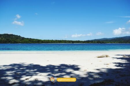 Jelajah Pulau Peucang, Destinasi Eksotis untuk Healing Tenang