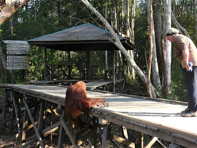 Camp Leakey