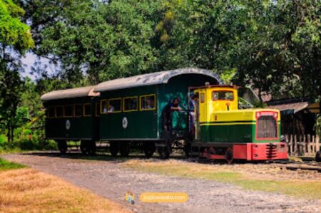 Loco Tour Cepu, Wisata Blora yang Unik, Bersejarah, dan Wajib Dikunjungi!