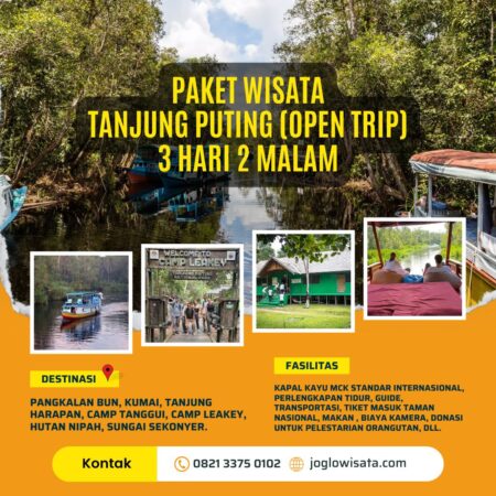 Paket Wisata Tanjung Puting 3 Hari 2 Malam (Open Trip)