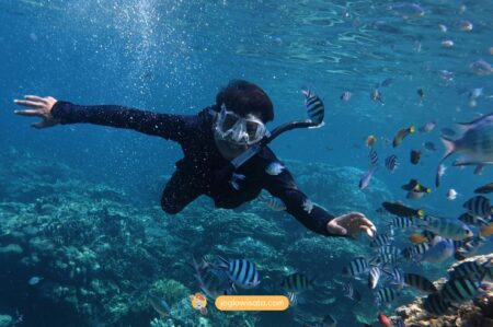 Perbedaan Spot Snorkeling Karimunjawa Bagian Utara dan Selatan