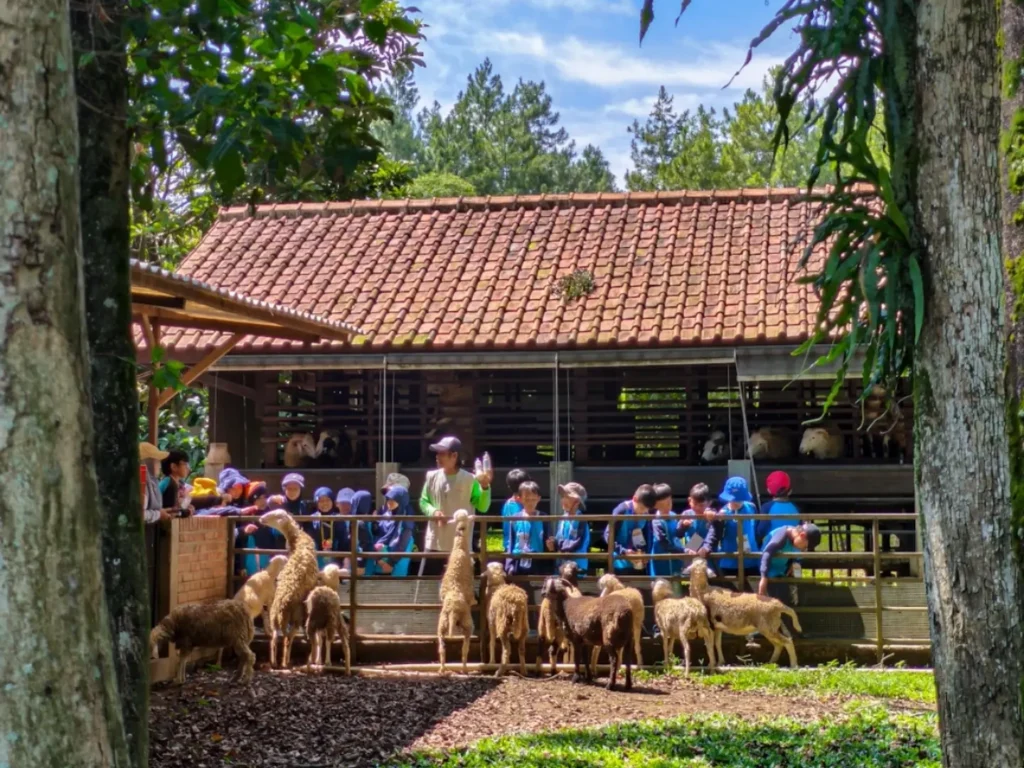 Kuntum Farmfield dan Nurseries merupakan salah satu destinasi wisata edukasi di Bogor