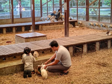Kuntum Farmfield dan Nurseries Bogor