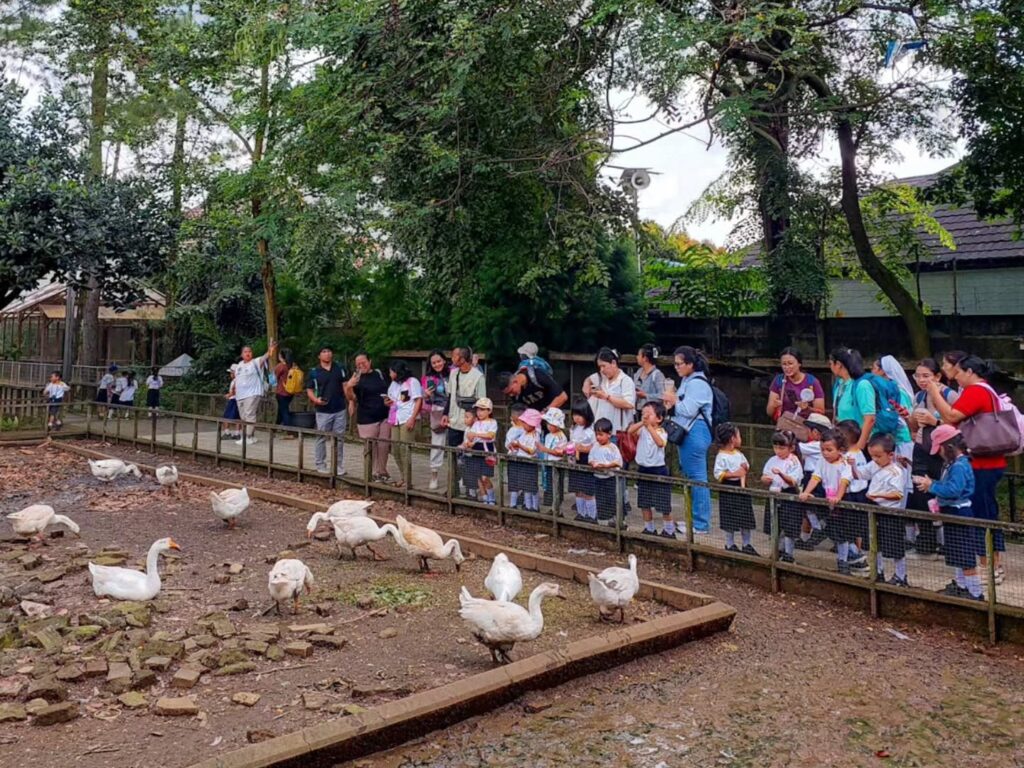 Beragam aktivitas seru bisa dilakukan di Kuntum Farmfield Bogor
