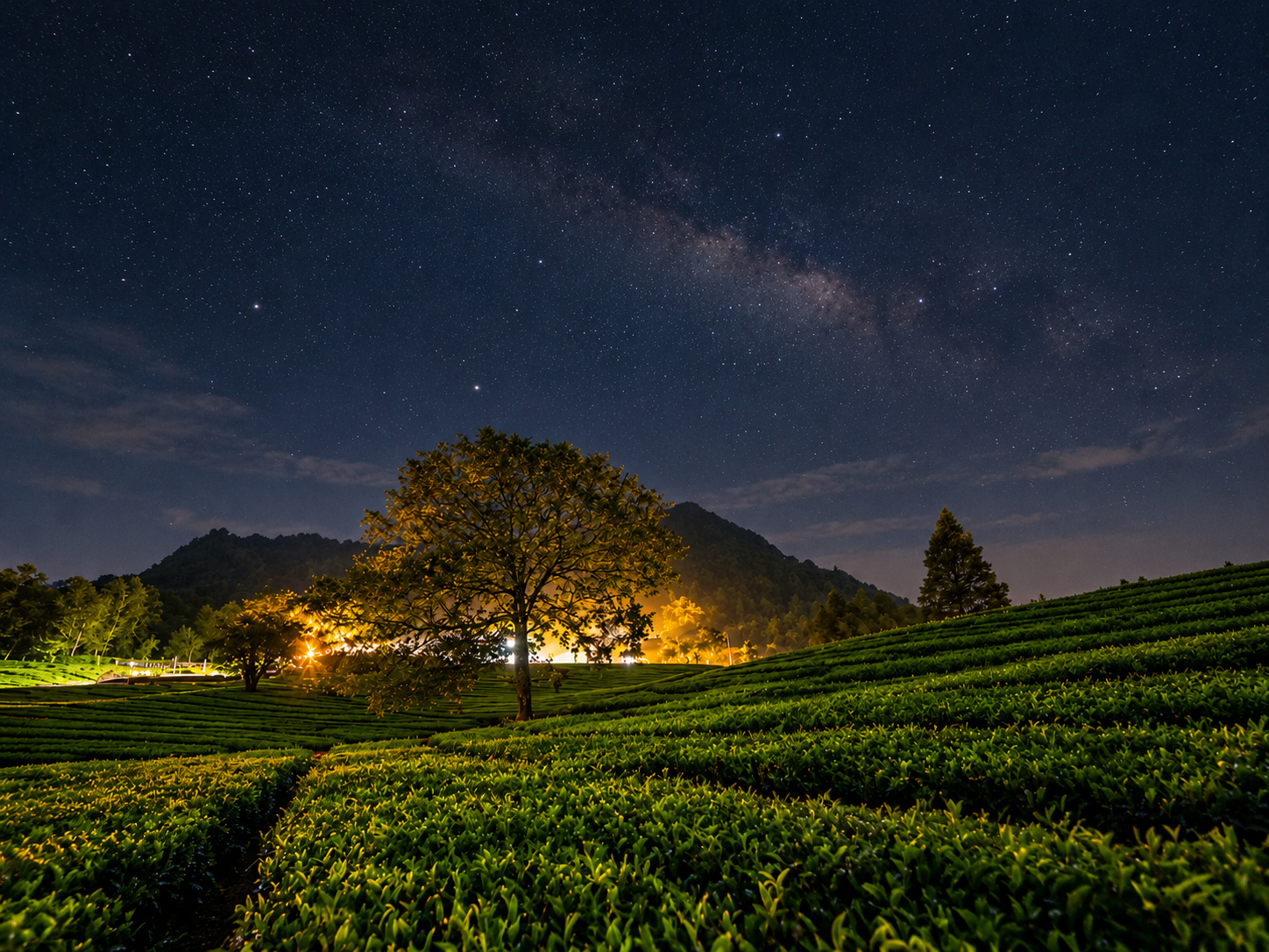 Suasana malam hari di kebun teh Wayang Windu Panenjoan